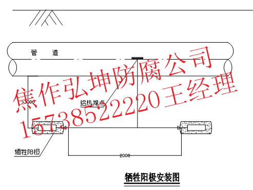 图片8_副本