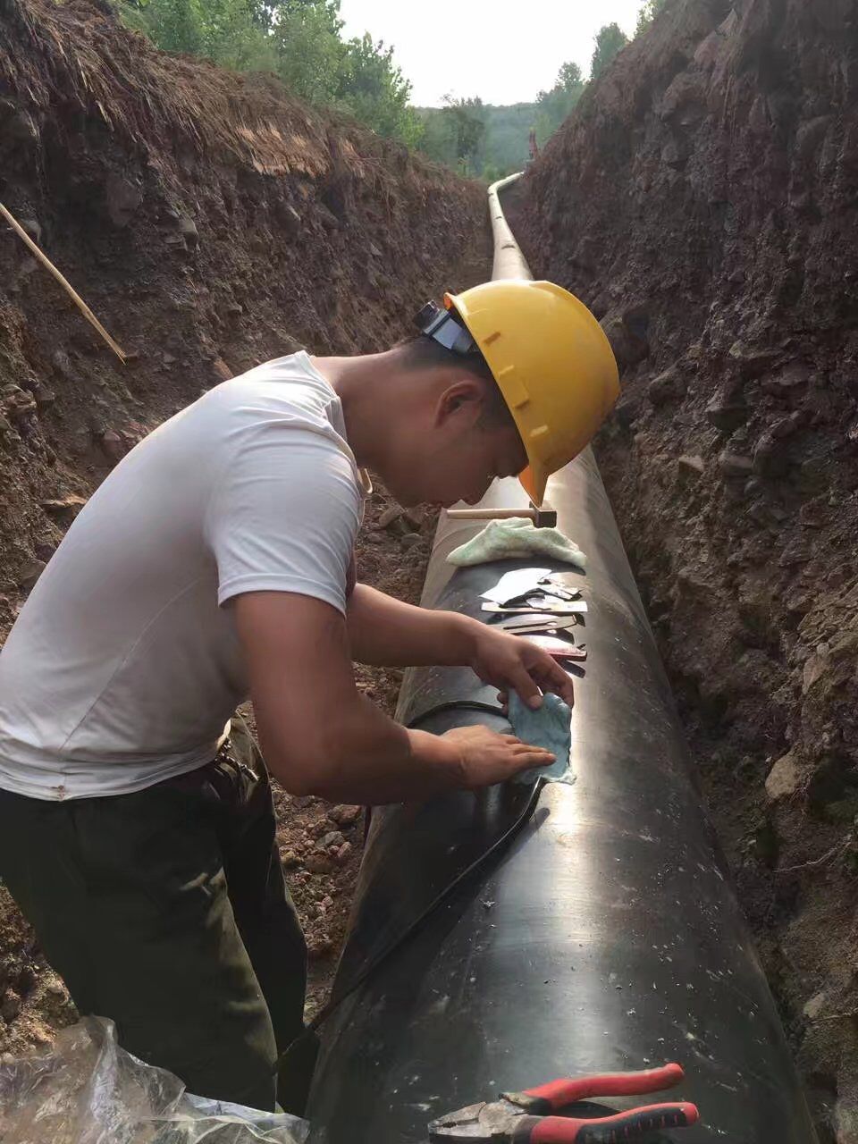 QQ图片20190813083919