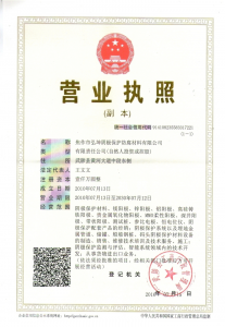 Business license (domestic)